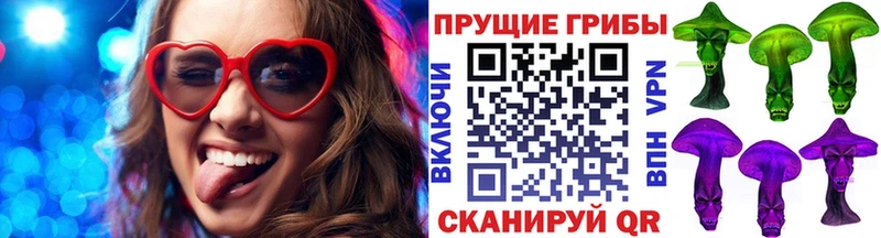 Галлюциногенные грибы Psilocybine cubensis  Южноуральск 