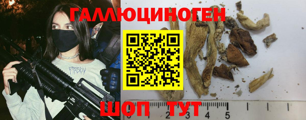 Галлюциногенные грибы ЛСД  Галлюциногенные грибы MAGIC MUSHROOMS  Южноуральск  купить наркотики сайты  Вход с VPN 